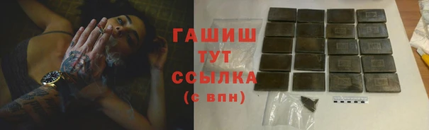 прущие грибы Корсаков