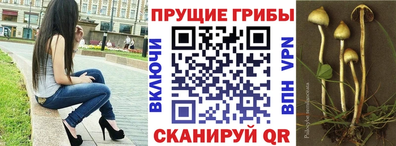 блэк спрут зеркало  даркнет клад  Кукмор  Галлюциногенные грибы Psilocybe  купить  