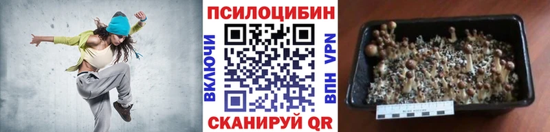 Галлюциногенные грибы GOLDEN TEACHER Кукмор
