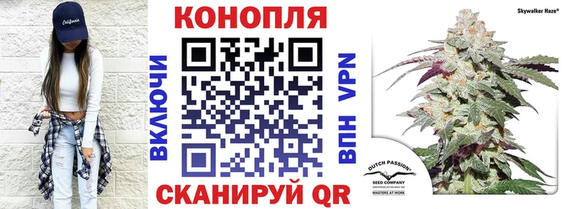 kraken как войти  Кукмор  Канабис OG Kush 